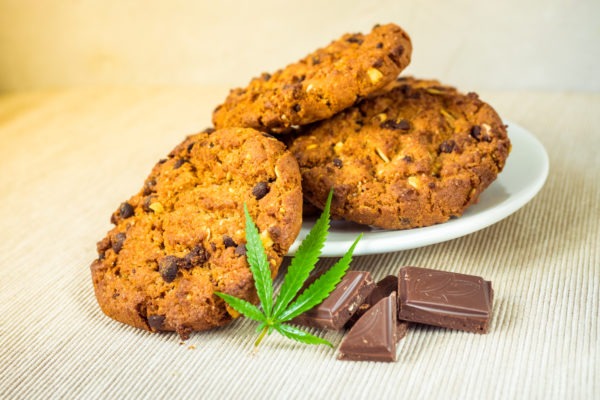 Delicious homemade Chocolate chip Cookies with CBD cannabis and leaf garnish and buds.