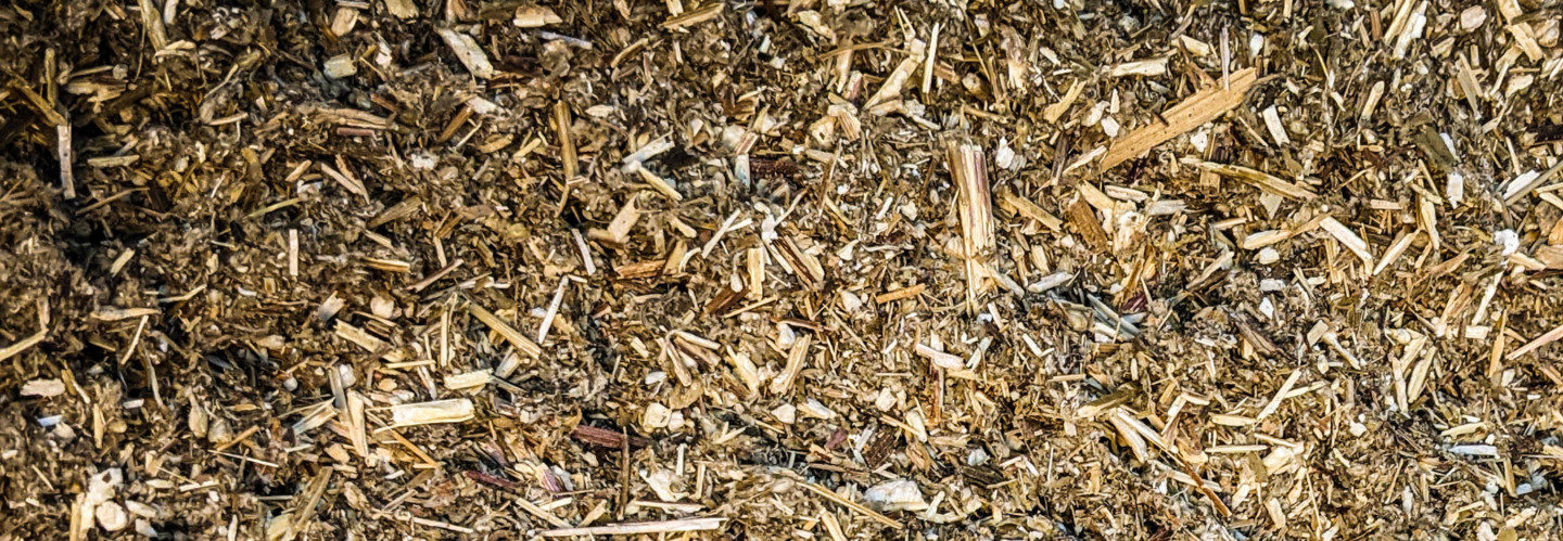 dried mugwort texture close-up