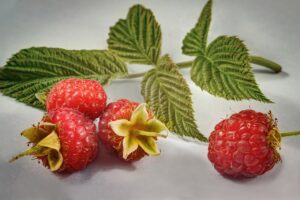 berry, raspberry, macro
